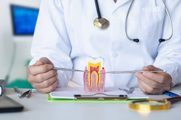 Best Emergency Tooth Extraction in Robie Creek, ID